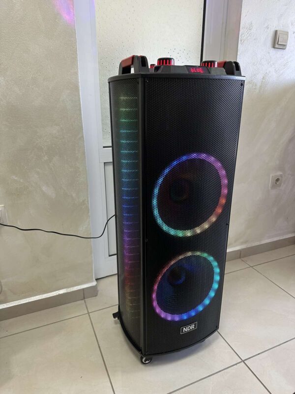 Двойна тонколона 2000W - 2 x 12" говорители, цветни светлини NDR-1222 - Image 10
