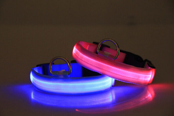 Светещ LED нашийник за куче - Image 9