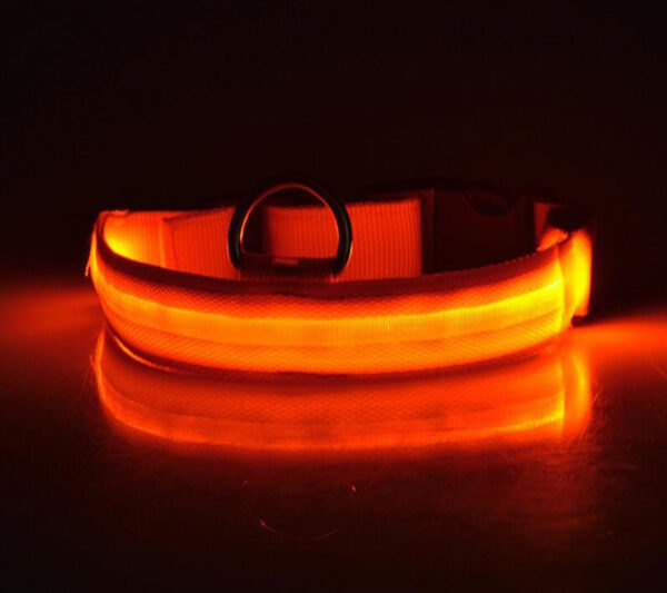 Светещ LED нашийник за куче - Image 12