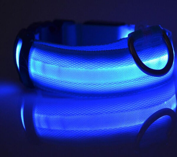 Светещ LED нашийник за куче - Image 10
