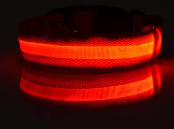 Светещ LED нашийник за куче - Image 8